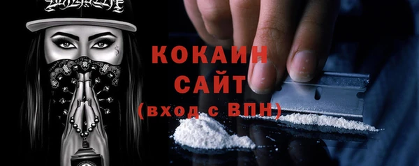 гашик Новозыбков