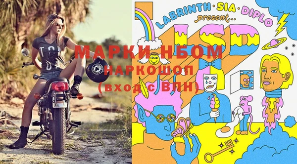гашик Новозыбков
