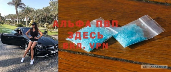 гашик Новозыбков