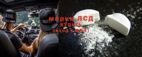 гашик Новозыбков