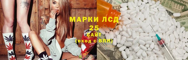 крисы Киров