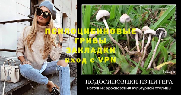 хмурый Новокубанск