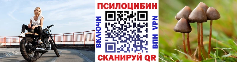 Галлюциногенные грибы Psilocybine cubensis  Бахчисарай 