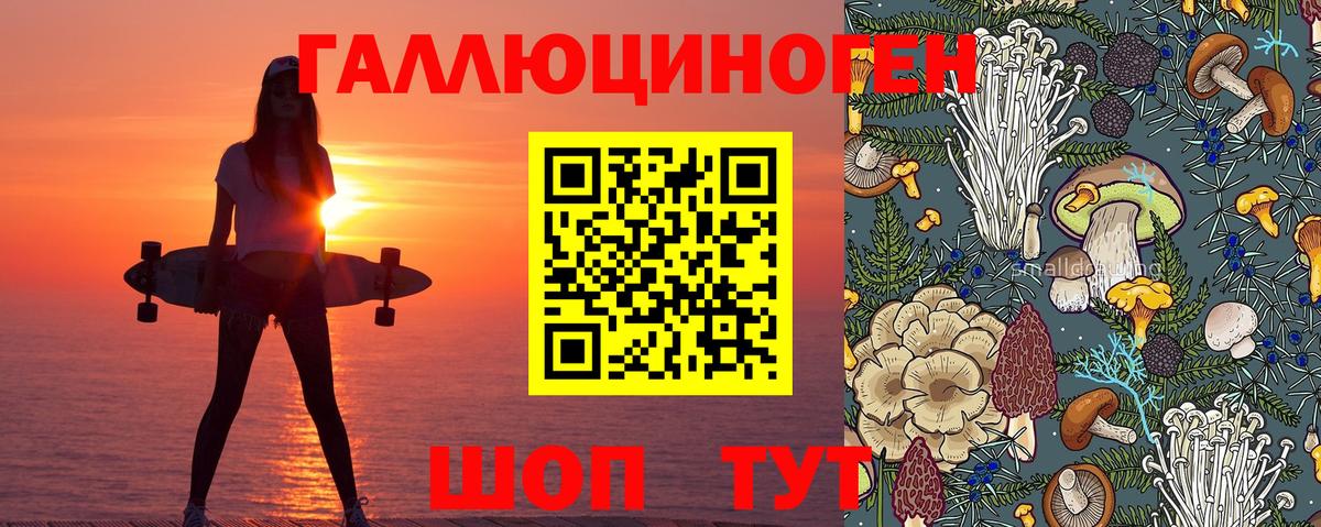 Бахчисарай  Галлюциногенные грибы Psilocybine cubensis  Галлюциногенные грибы Psilocybe  Вход с VPN 